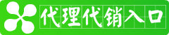加盟椰果国际代理，尽享网上创业乐趣